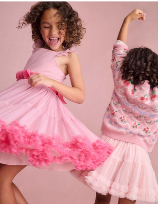 Mini Boden Girl's Ruffle Hem Tulle Hearts Party Dress in Vintage Pink (Imperfect)