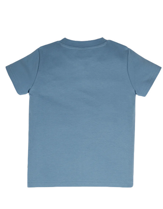 Frugi Boy's Carsen Applique T-shirt in Abisko Sky/Eagle