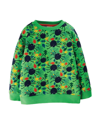 Frugi Boy's Long Sleeve Rex Spider Jumper in Green Spider Web