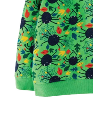 Frugi Boy's Long Sleeve Rex Spider Jumper in Green Spider Web