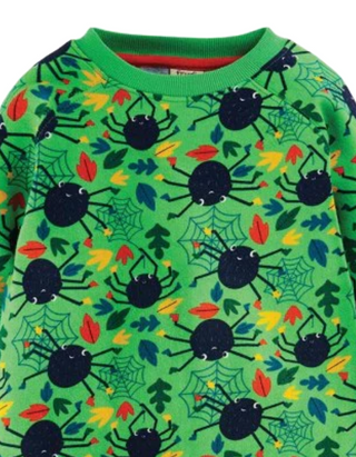 Frugi Boy's Long Sleeve Rex Spider Jumper in Green Spider Web