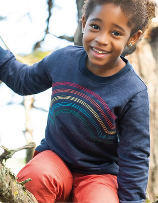 Frugi Boy's Long Sleeve Embroidered Louis T-shirt/Sweatshirt in Indigo/ Rainbow