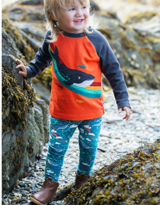 Frugi Kids Cotton Ralgan Dolphine Applique Top in Navy Rainbow