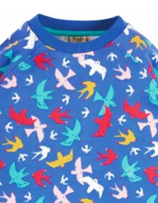 Frugi Kids Rex Long Sleeve Sweatshirt in Rainbow Birds Flight