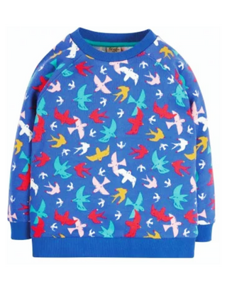 Frugi Kids Rex Long Sleeve Sweatshirt in Rainbow Birds Flight