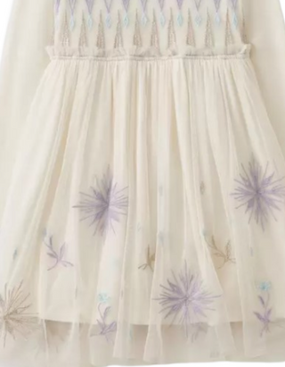 Girl's Embroidered Tulle Dress in Frozen White
