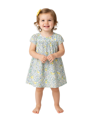 Baby Boden Girls' Spring Farm fields Dress in White Farm Chicks