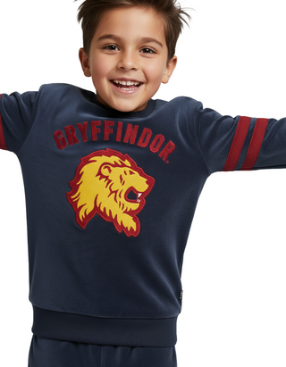 Boys Gryffindor Velour Pyjama Set in Malt Grey