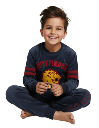 Boys Gryffindor Velour Pyjama Set in Malt Grey