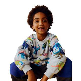Mini Boden Kids Everyday Printed Sweatshirt In Grey