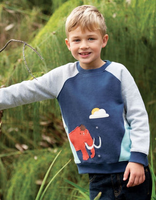 Frugi Boy's Ralgan Sleeve Applique Summit Sweater Mammoth in Blue
