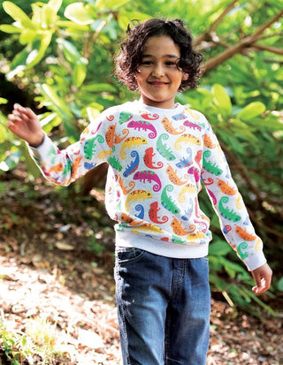 Frugi Boy's Chameleon Rex Sweatshirt in Grey Marl