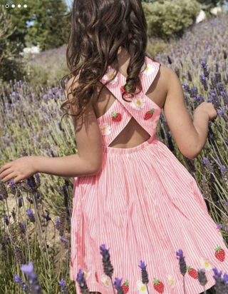 Mini Boden Girl's Embroidered Cross-back Dress in  Formica Pink