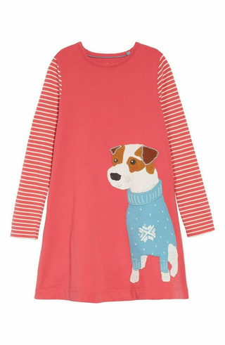 Mini Boden Girl's Big Applique Dress in Red Dog